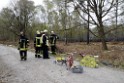 Waldbrand Wahner Heide Troisdorf Eisenweg P081